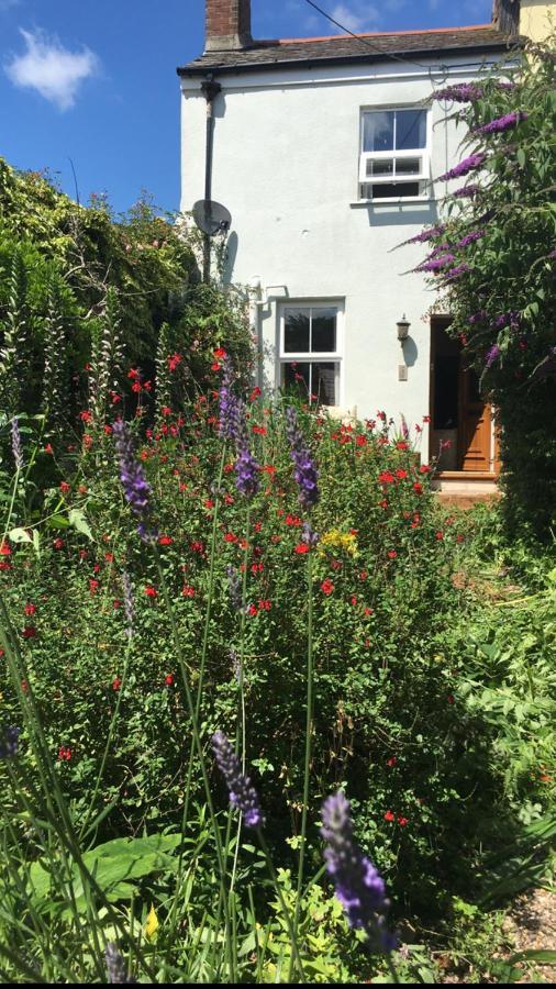 1 Laurel Cottages Долиш Екстериор снимка