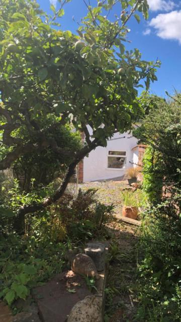 1 Laurel Cottages Долиш Екстериор снимка